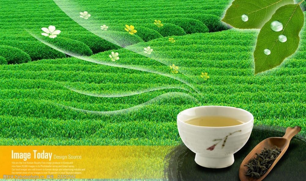 绿茶广告(跑男绿茶广告)